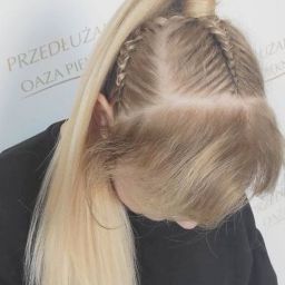 Kitka bokserska z dwoma warkoczami, ujęcie z góry