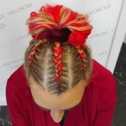 Kitka bokserska w czerwieni i blondzie upięta w kok