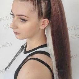 Kuc bokserski w ciemnym mahoniu z gładkim, prostym pasmem