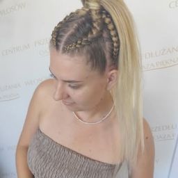 Blond kitka bokserska z warkoczami w geometrycznym układzie